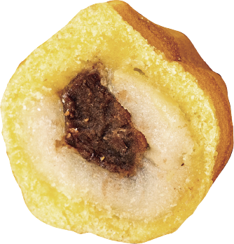 con16_menu_img